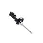 FCS Struts 333356L Suspension Strut