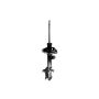 FCS Struts 333365L Suspension Strut