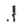 FCS Struts 3333716R Suspension Strut and Coil Spring Assembly