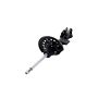 FCS Struts 333372L Suspension Strut