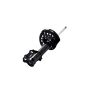 FCS Struts 333372L Suspension Strut
