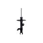 FCS Struts 333375L Suspension Strut