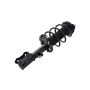 FCS Struts 3333957R Suspension Strut and Coil Spring Assembly