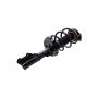 FCS Struts 3333987L Suspension Strut and Coil Spring Assembly