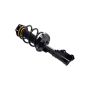 FCS Struts 3333987R Suspension Strut and Coil Spring Assembly