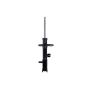 FCS Struts 333406L Suspension Strut