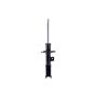 FCS Struts 333422L Suspension Strut