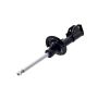 FCS Struts 333422L Suspension Strut