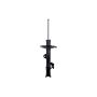 FCS Struts 333432R Suspension Strut