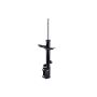 FCS Struts 333434L Suspension Strut