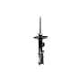 FCS Struts 333449L Suspension Strut