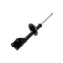 FCS Struts 333453R Suspension Strut