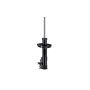 FCS Struts 333466L Suspension Strut