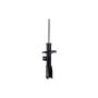 FCS Struts 333467R Suspension Strut
