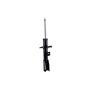 FCS Struts 333468L Suspension Strut