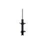 FCS Struts 333478R Suspension Strut