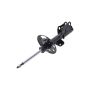 FCS Struts 333489R Suspension Strut