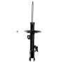 FCS Struts 333491R Suspension Strut