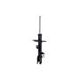 FCS Struts 333492R Suspension Strut