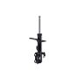 FCS Struts 333493L Suspension Strut