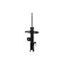 FCS Struts 333493L Suspension Strut