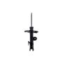 FCS Struts 333493R Suspension Strut