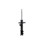 FCS Struts 333504R Suspension Strut