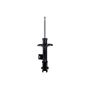 FCS Struts 333505L Suspension Strut