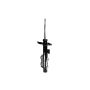 FCS Struts 333507R Suspension Strut