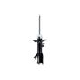FCS Struts 333529L Suspension Strut