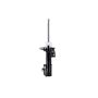FCS Struts 333529R Suspension Strut