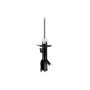 FCS Struts 333529R Suspension Strut