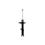 FCS Struts 333533R Suspension Strut
