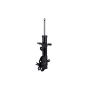FCS Struts 333534R Suspension Strut