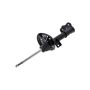 FCS Struts 333542R Suspension Strut
