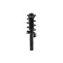 FCS Struts 3335576 Suspension Strut and Coil Spring Assembly