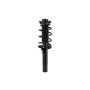 FCS Struts 3335576 Suspension Strut and Coil Spring Assembly