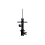 FCS Struts 333565R Suspension Strut