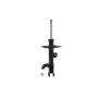 FCS Struts 333566L Suspension Strut