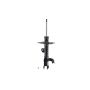 FCS Struts 333567R Suspension Strut