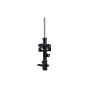 FCS Struts 333569R Suspension Strut