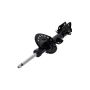 FCS Struts 333572R Suspension Strut
