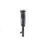 FCS Struts 3335801L Suspension Strut and Coil Spring Assembly