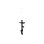 FCS Struts 333582L Suspension Strut