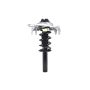 FCS Struts 3335832R Suspension Strut and Coil Spring Assembly
