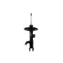 FCS Struts 333583L Suspension Strut