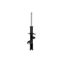 FCS Struts 333584L Suspension Strut