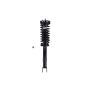 FCS Struts 3335850 Suspension Strut and Coil Spring Assembly
