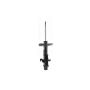 FCS Struts 333586R Suspension Strut