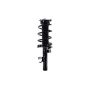 FCS Struts 3335877L Suspension Strut and Coil Spring Assembly